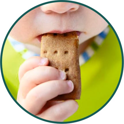 शुरुआती स्नैक्स