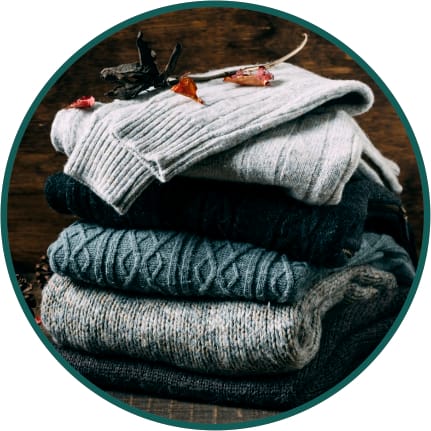 Sweaters & Sweatshirts