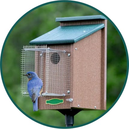 Bird Houses & Cages