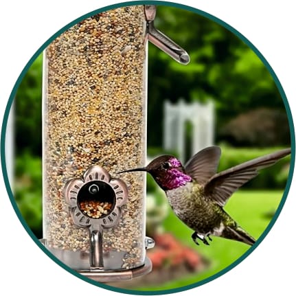 Feeding & Watering Supplies