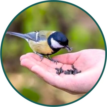 Bird Health Supplies