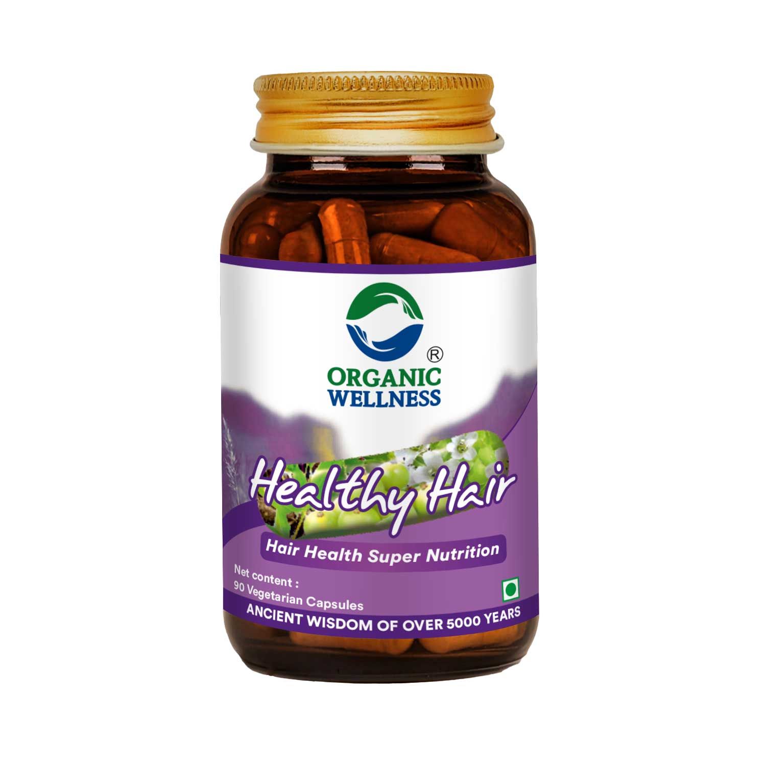 Organic Wellness Healthy Hair 90 Capsules