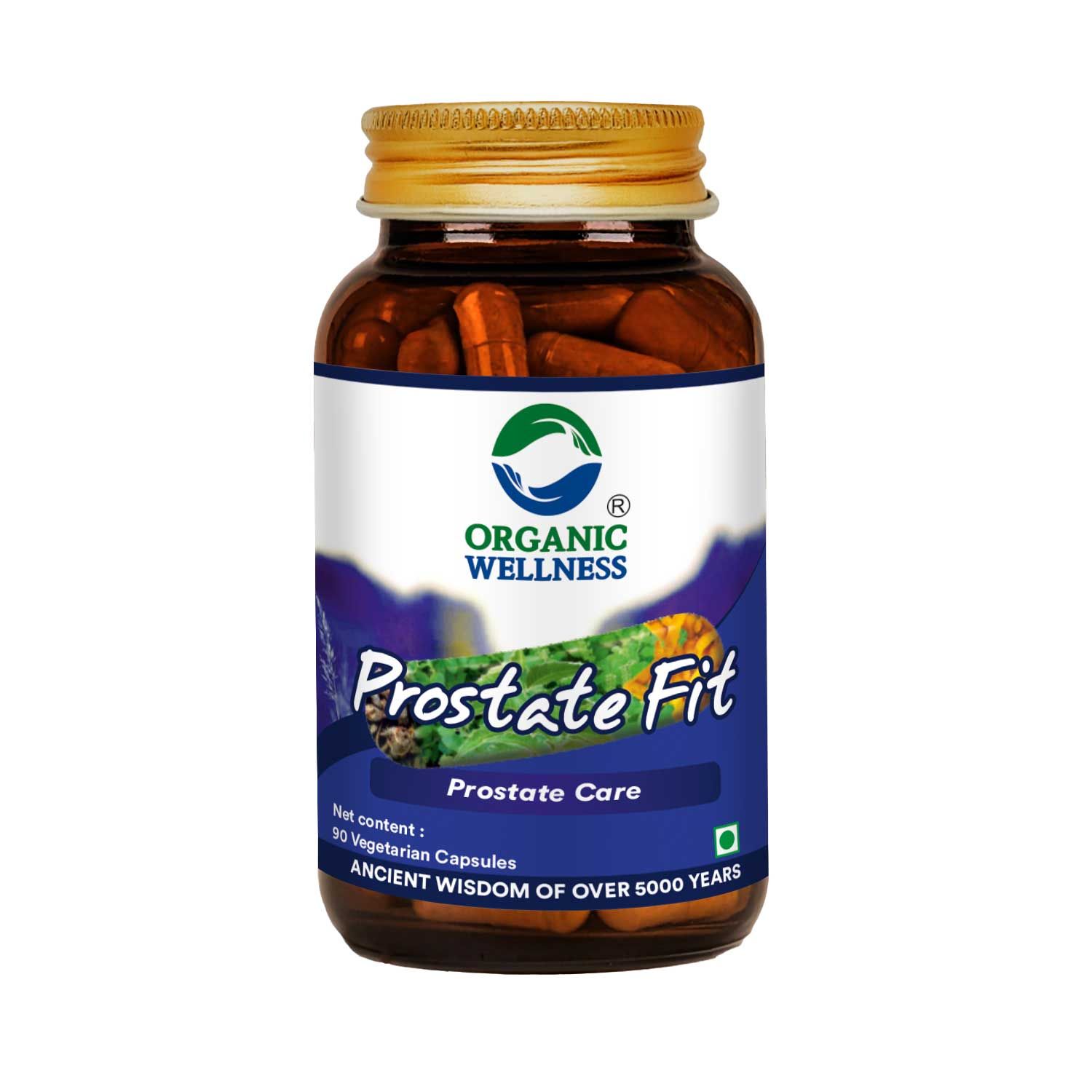 Organic Wellness Prostate Fit 90 Capsules
