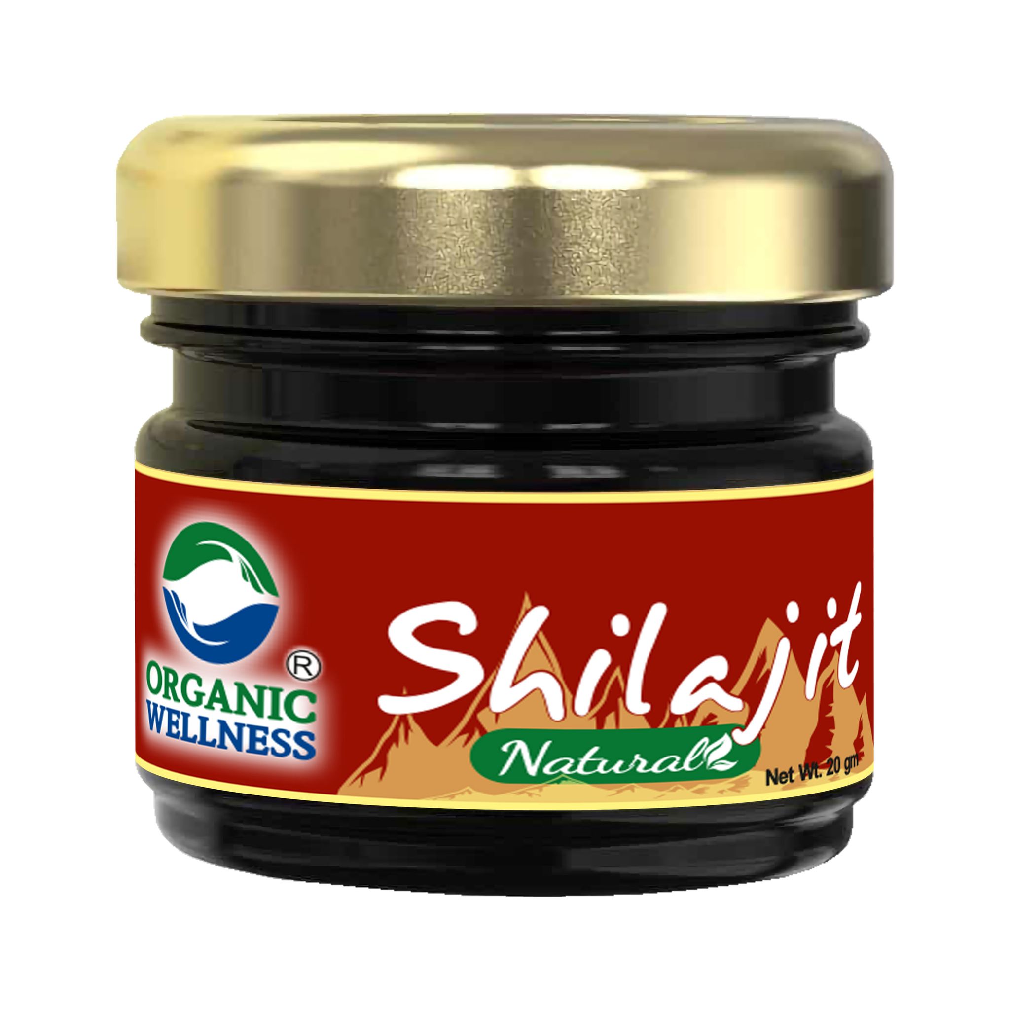Organic Wellness Shilajit Resin 20g