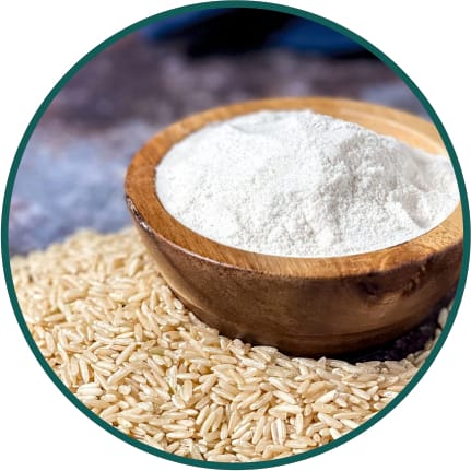 Rice Flour
