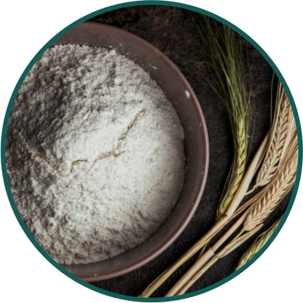 Wheat Flour