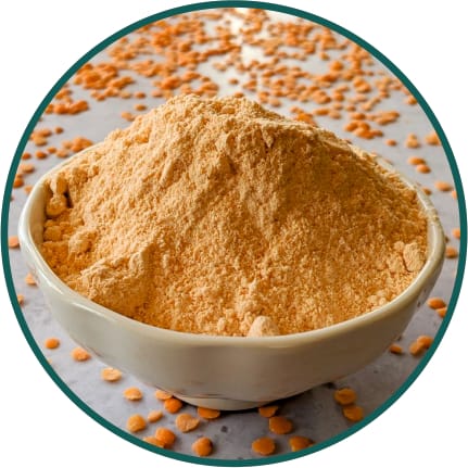 Lentil Flour