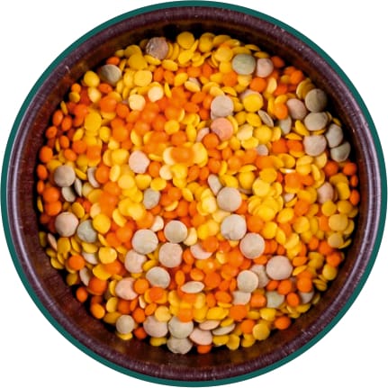 Mix Dal