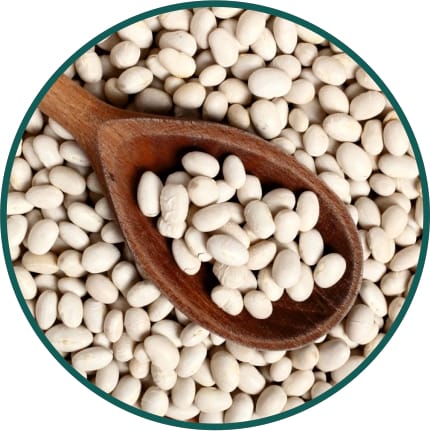 Lima Beans