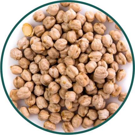 Kabuli Chana / Chickpea