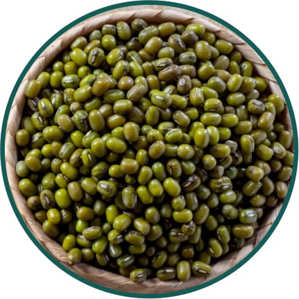 Moong Chilka