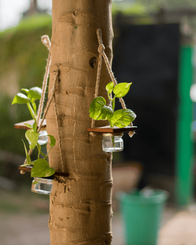 स्क्रैपशाला मिनी जार हैंगिंग प्लान्टर