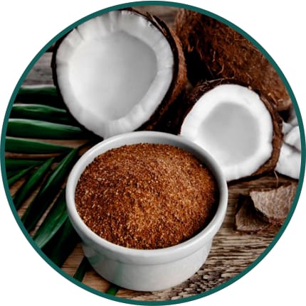 Coconut & Palm Sugar