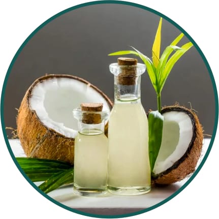 Coconut Oil