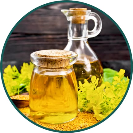 Canola Oil