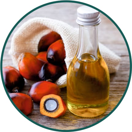 Palm Oil