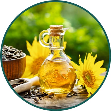 Sunflower Oil