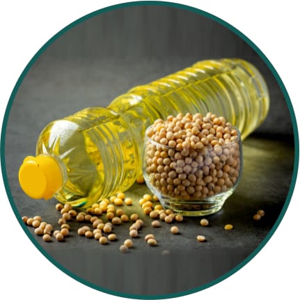 Soybean Oil