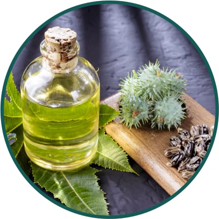Castor Oil
