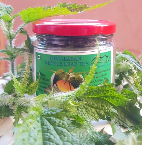 The Pahari Life Nettle Tea 35gm