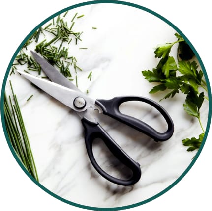 Scissors