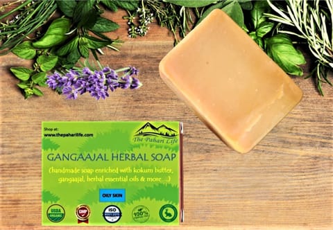 The Pahari Life Gangaajal herbal soap 75gm