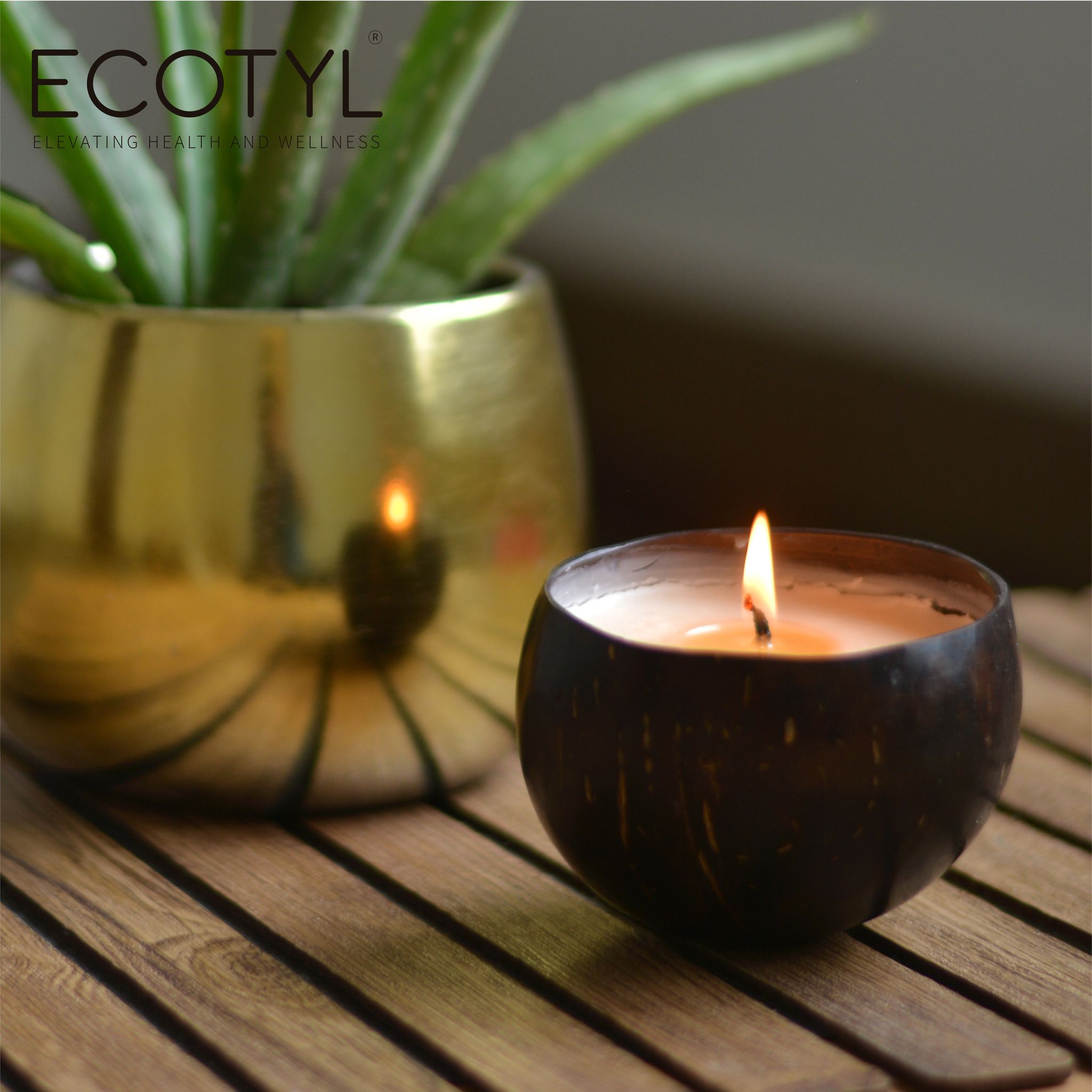 Ecotyl Coconut Shell Candle | Patchouli & Rosewood | Pure Soy Wax | 100g