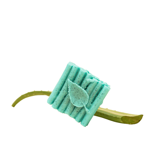 Daivik Moringa Egyptian Musk Soap | 100g